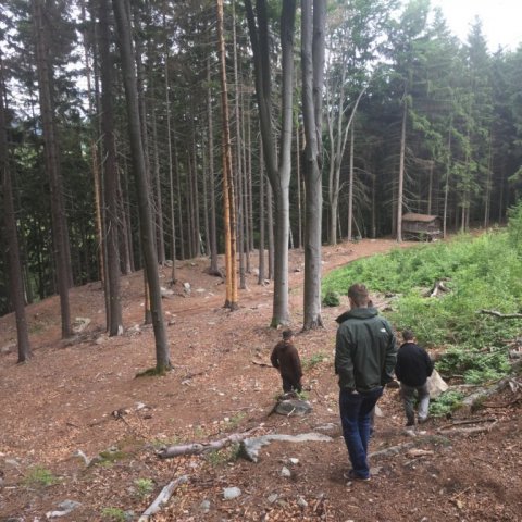 Gengið í skóginn í Bílá Třemešná. Ljósmynd: Bjarki Þór Kjartansson