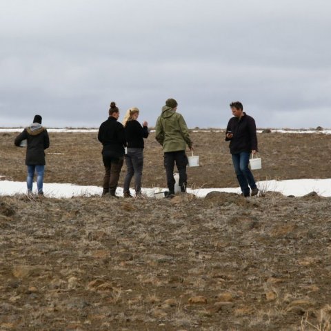 Frædreifingin undirbúin. Dreifingarsvæðið var hnitsett með staðsetningartæki. Ljósmynd: Pétur Halldórsson
