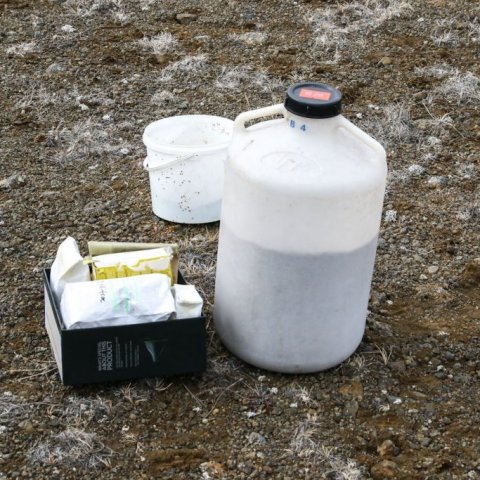 Fræið sem safnaðist á Norðurlandi í átakinu haustið 2020. Ljósmynd: Pétur Halldórsson