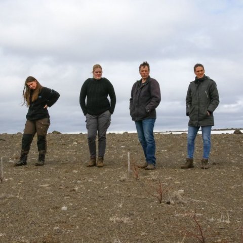 Tilraunin frá 2015 skoðuð. Frá vinstri: Alexander, Esmée, Berglind, Brynjar og Salbjörg. Ljósmynd: Pétur Halldórsson