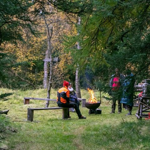 Alvöru skógarstemmning beið gesta þegar komið var í skóginn. Ljósmynd: Pétur Halldórsson