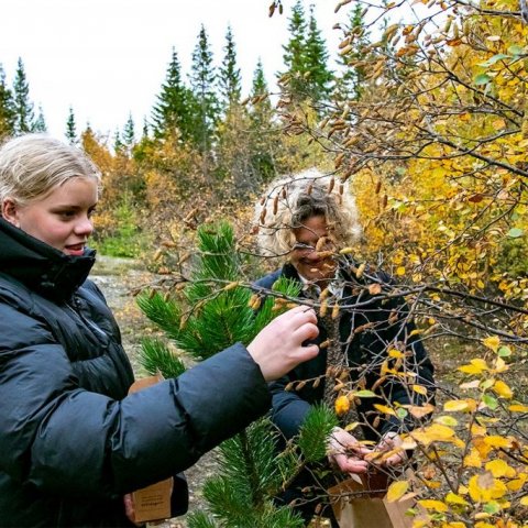 Mæðgur í móð við gjöfult tré. Ljósmynd: Pétur Halldórsson