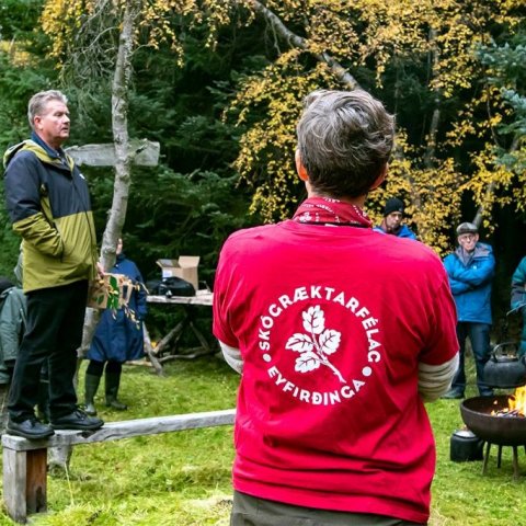 Fylgst með Kristni H. Þorsteinssyni, verkefnastjóra fræsöfnunarátaksins, fræða um birki og fræsöfnun. Ljósmynd: Pétur Halldórsson