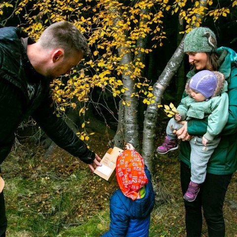 Frætínsla er fjölskyldusport. Ljósmynd: Pétur Halldórsson