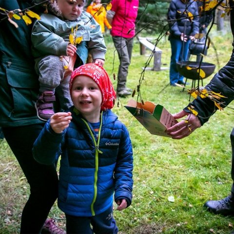 Stoltur fræsafnari. Ljósmynd: Pétur Halldórsson