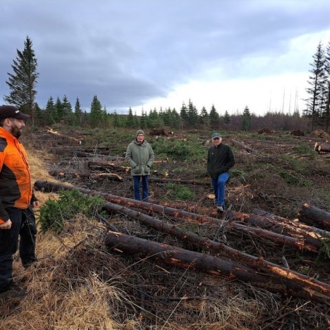 Litið á aðstæður. Frá vinstri: Níels Magnús Magnússon, verkstjóri Haukadal, Úlfur Óskarsson, verkefnastjóri kolefnismála, og Hreinn Óskarsson, sviðstjóri þjóðskóga. Ljósmynd: Trausti Jóhannsson