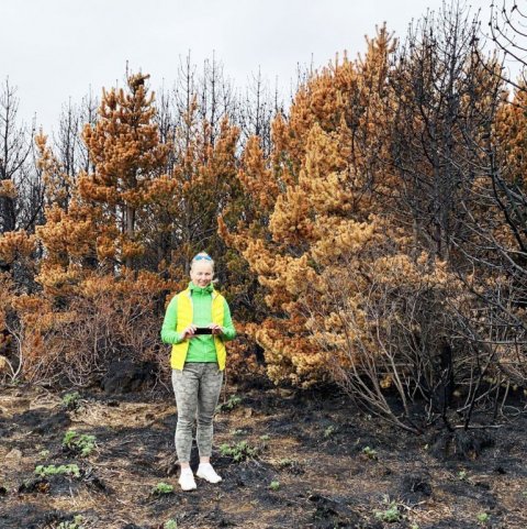 Auður Kjartansdóttir, framkvæmdastjóri Skógræktarfélags Reykjavíkur við furur sem fóru illa í eldinum. Ljósmynd: Brynja Hrafnkelsdóttir