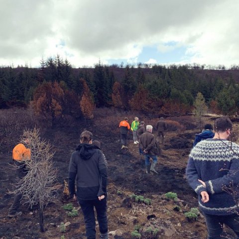 Starfsfólk Skógræktarinnar í skoðunarferð um brunasvæðið 26. maí 2021. Ljósmynd: Brynja Hrafnkelsdóttir