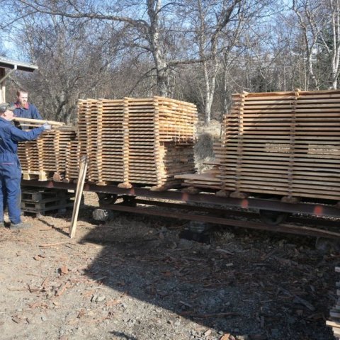 Timbri staflað ti lþurrkunar á Hallormsstað á degi jarðar