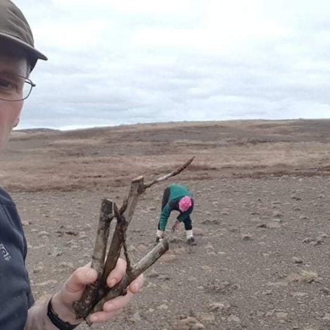 Hreinn á degi jarðar við að stinga aspargræðlingum á Rangárvöllum