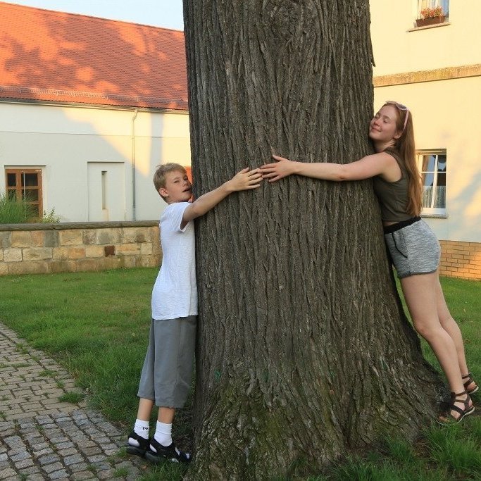 Hvernig er annað hægt en að knúsa svona stóra, fallega og gamla lífveru? Mynd: Pétur Halldórsson