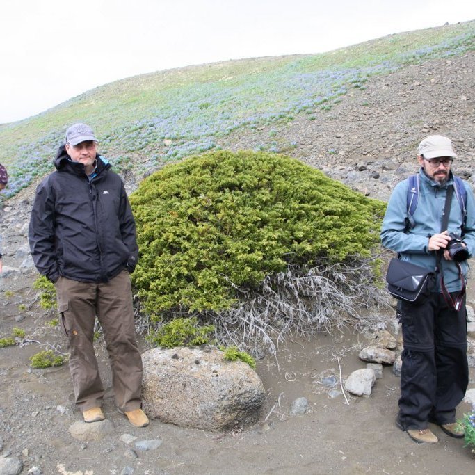 Ólafur Eggertsson (fyrir miðju) ásamt samstarfsfólki við rannsóknir á Hólasandi / PhD Ólafur Eggertsson (in the middle) with colleagues doing fieldwork in Hólasandur. Ljósmynd / Photo: NN