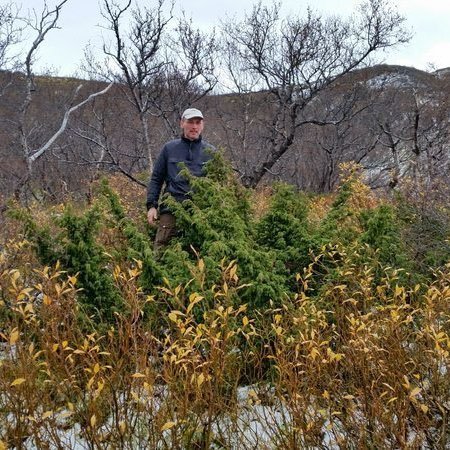 Hér stendur Hreinn Óskarsson við myndarlegan einirunna sem er mun reistari en oftast sjást hérlendis. Ljósmynd: Þorsteinn Kristinsson
