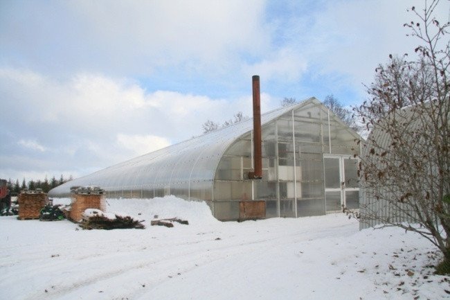 Gróðurhús I á Hallormsstað