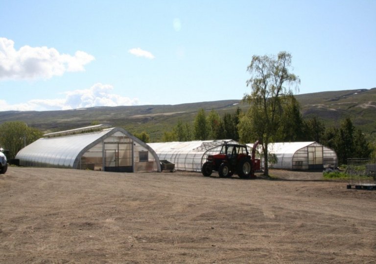 Gróðurhús á Vöglum