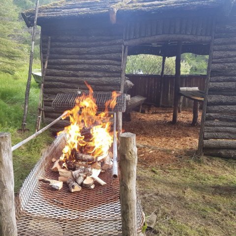 Aðstöðu til samkomuhald og útivistar hefur verið komið upp í skógum bænda. Ljósmynd: Bjarki Jónsson