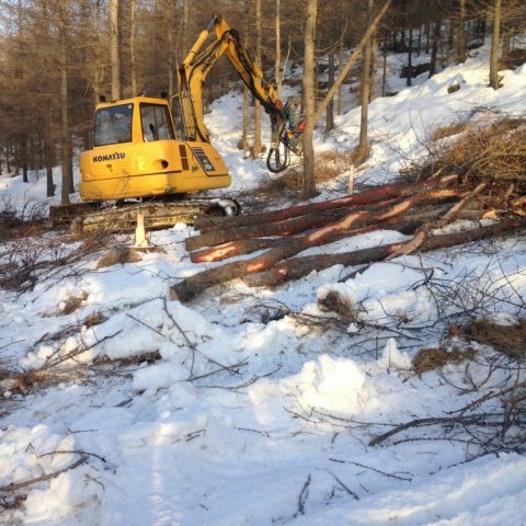 Grafa með fellingarhaus hefur talsvert verið notuð til grisjunar á Héraði. Ljósmynd: Bjarki Jónsson