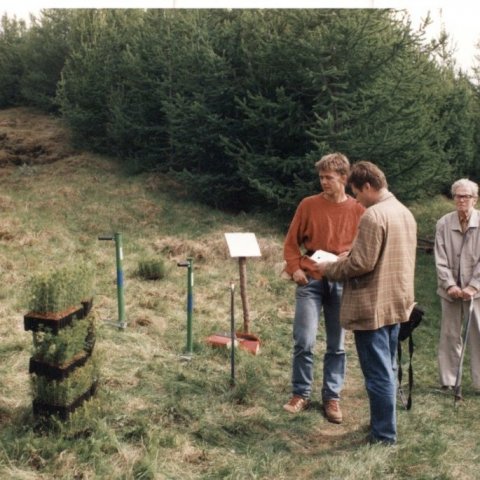 Haldið  var  upp  á  25  ára  afmæli  bændaskógræktar  í  Víðivallaskógi  um  Jónsmessu 1995. Ljósmynd: Skúli Björn Gunnarsson