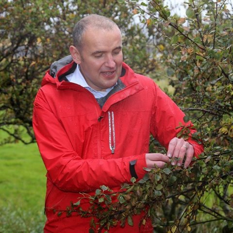 Guðni forseti tínir fyrsta fræið. Ljósmynd: Áskell Þórisson