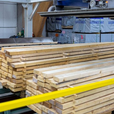 Timburstæða tilbúin til límtrésvinnslu. Ljósmynd: Einar Bjarnason