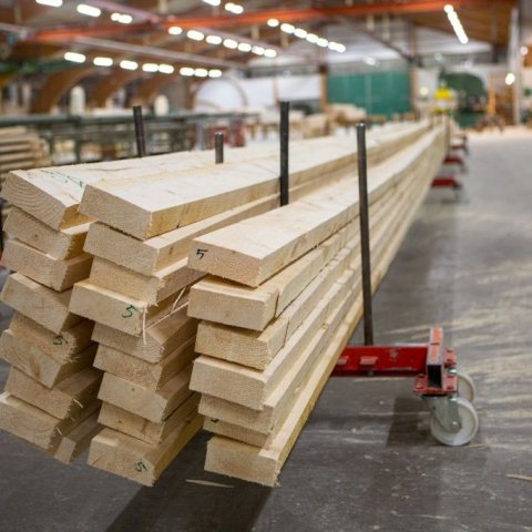 Timbrið bíður límingar. Ljósmynd: Einar Bjarnason