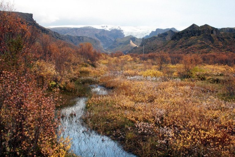 frett_08102010_IMG_8032