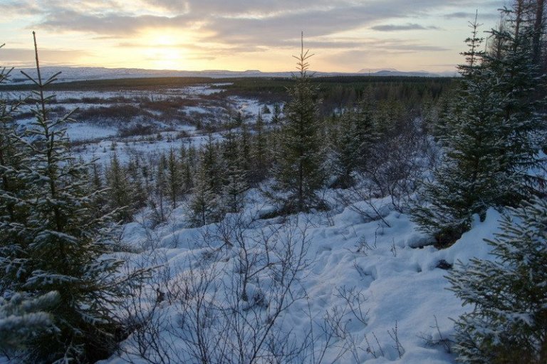 frett_22122011_4 frett_22122011_4