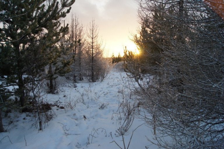 frett_22122011_5 frett_22122011_5