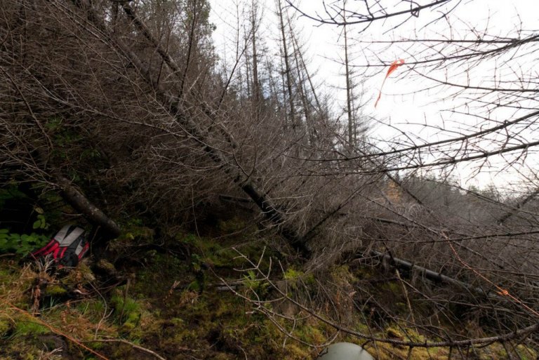 frett_12102011_2 frett_12102011_2