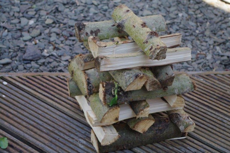 frett_17082011_2 frett_17082011_2