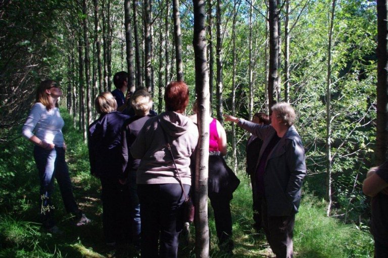 frett_17082011_3 frett_17082011_3