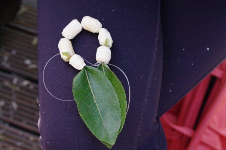 frett_17082011_4 frett_17082011_4