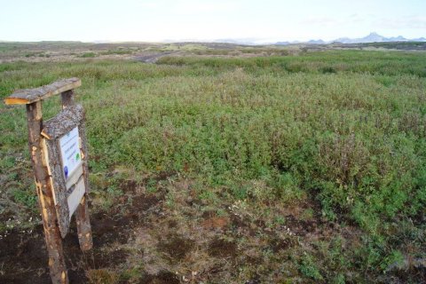 frett_03102011_2 frett_03102011_2