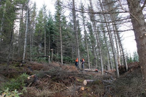 frett_11112011_1 frett_11112011_1