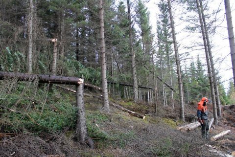 frett_11112011_2 frett_11112011_2