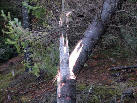 frett_11112011_3 frett_11112011_3