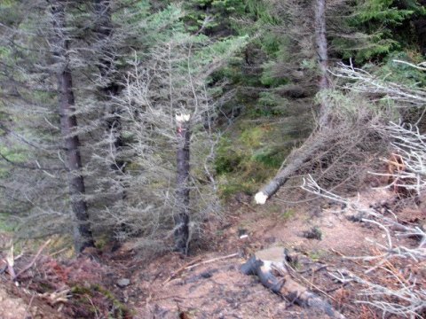 frett_11112011_4 frett_11112011_4