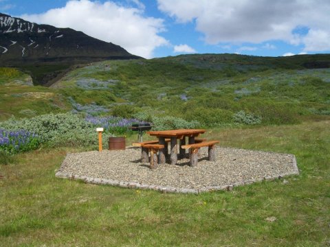 frett_19072011_2 frett_19072011_2