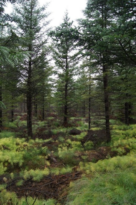 frett_28092011_2 frett_28092011_2