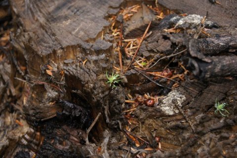 frett_28092011_5 frett_28092011_5