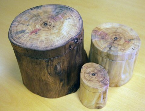 frett_29112011_2 frett_29112011_2