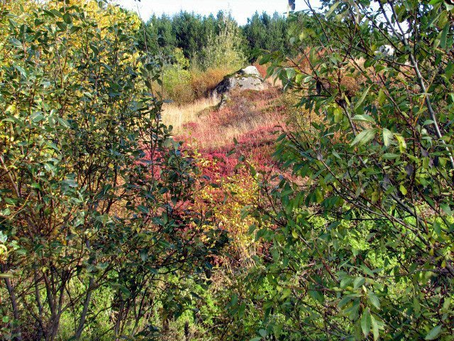 28092012-(23) 28092012-(23)