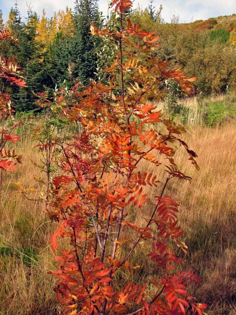 28092012-(24) 28092012-(4)