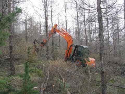 25042012-2 25042012-2