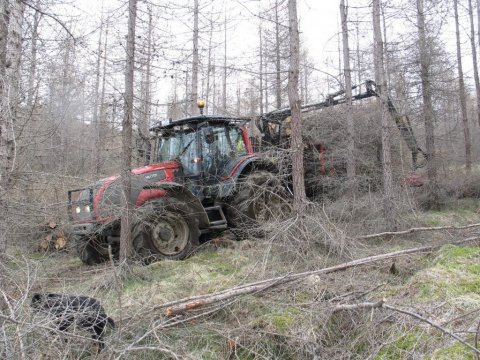 25042012-3 25042012-3