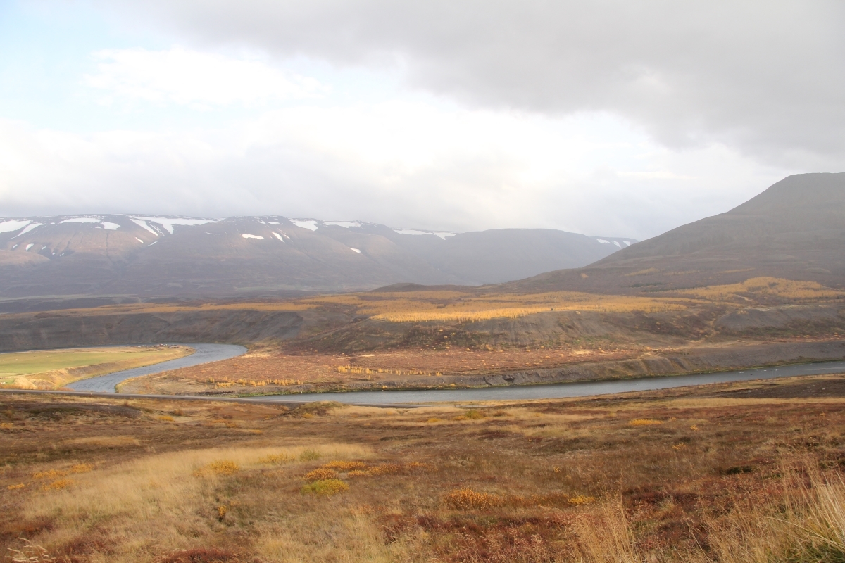 Þessi mynd er tekin neðar í austurhlíðum Vaðlaheiðar og sýnir líka vel gult lerkið á Hálsmelunum. Sólin hefur brotist hér fram. Vegna hlýindanna í haust er barrið óskemmt af frosti og vindi og haustlitur lerkisins því óvenjujafn og fallegur. Mynd: Pétur Halldórsson. Þessi mynd er tekin neðar í austurhlíðum Vaðlaheiðar og sýnir líka vel gult lerkið á Hálsmelunum. Sólin hefur brotist hér fram. Vegna hlýindanna í haust er barrið óskemmt af frosti og vindi og haustlitur lerkisins því óvenjujafn og fallegur. Mynd: Pétur Halldórsson.