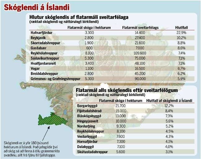 Skoglendi-a-Islandi-Moggagrein