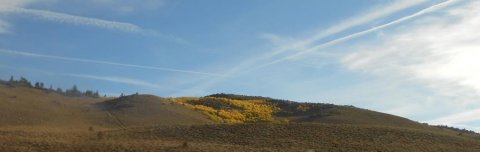 Skærgulir haustlitir nöturaspar í austurhlíðum fjallanna Sierra Nevada Skærgulir haustlitir nöturaspar í austurhlíðum fjallanna Sierra Nevada