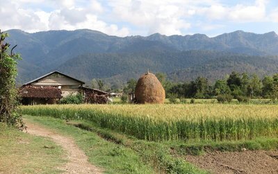 Durban-yfirlysingin-2