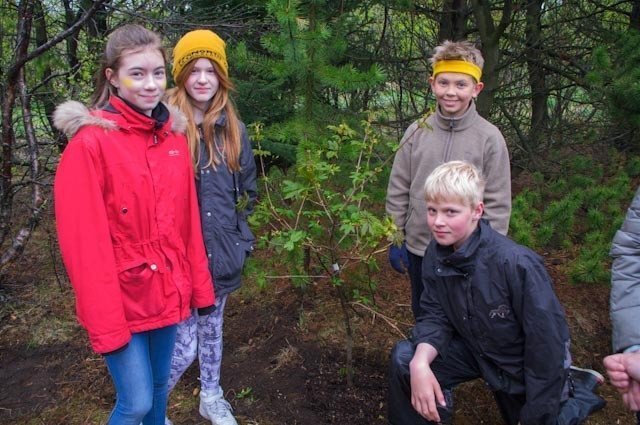 Hér mun hlynurinn dafna vel og krakkarnir geta vitjað hans alla ævi.